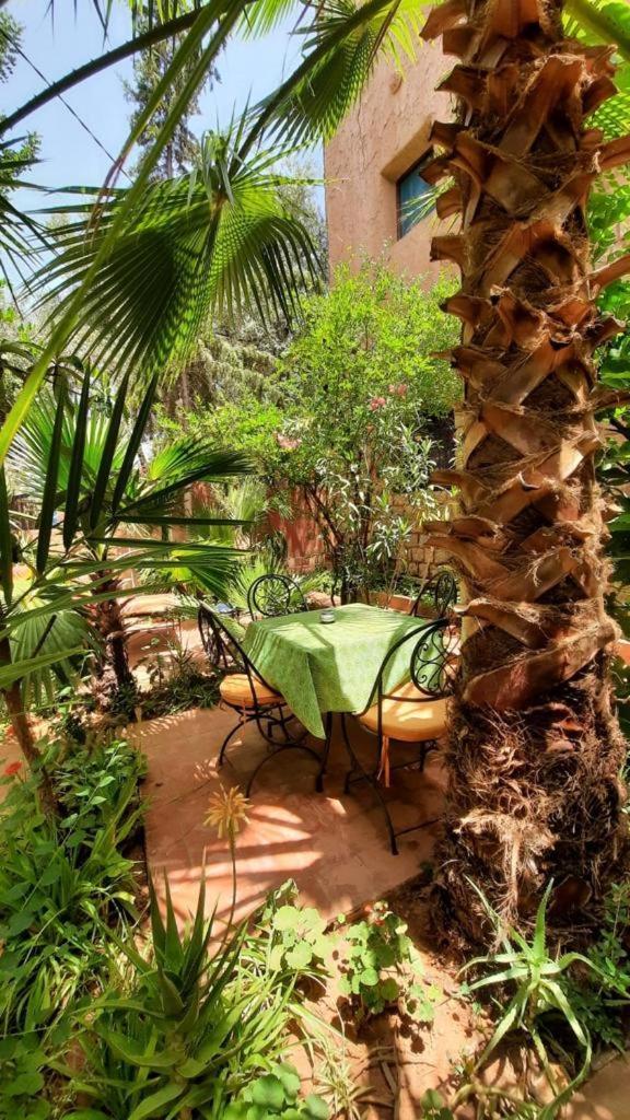 Dar Ouzoud Vegan Hotell Rom bilde